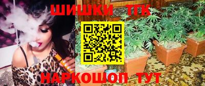 apvp Камышлов