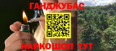 apvp Камышлов